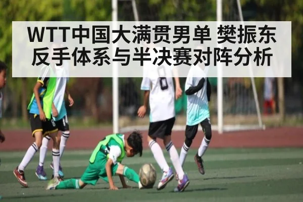 WTT中国大满贯男单 樊振东反手体系与半决赛对阵分析（NG28APP）