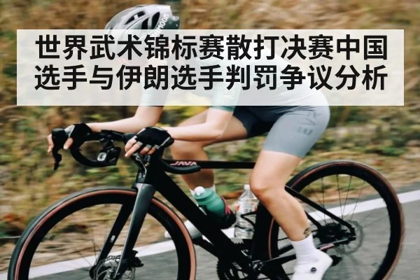 世界武术锦标赛散打决赛中国选手与伊朗选手判罚争议分析 - NG28